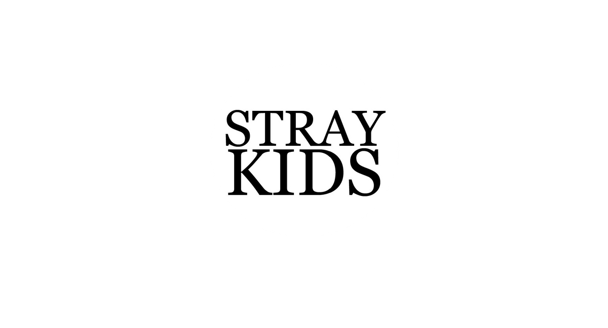 STRAY KIDS CO.